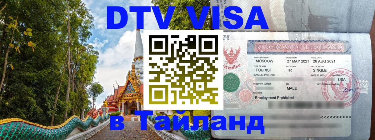 Сколько стоит DTV виза — актуальные цены, оформление даже без документов - 19.11.2025 